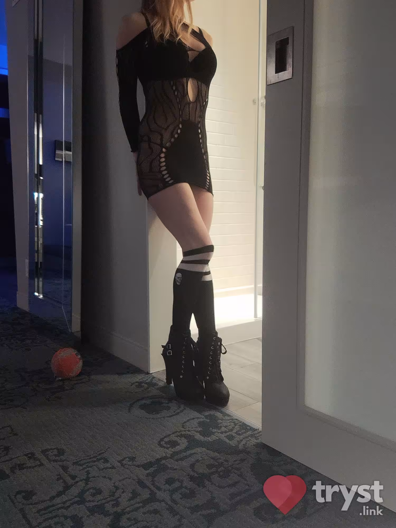 Escort Aliyah in Albany, NY