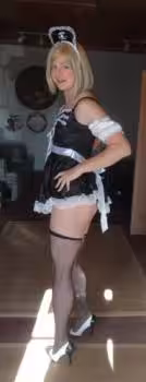 companion/S&M TS Jessica Presley in Albuquerque, NM
