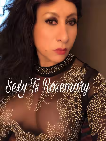 companion/Massage/S&M TS Marsela / Rosemary in Aurora, IL