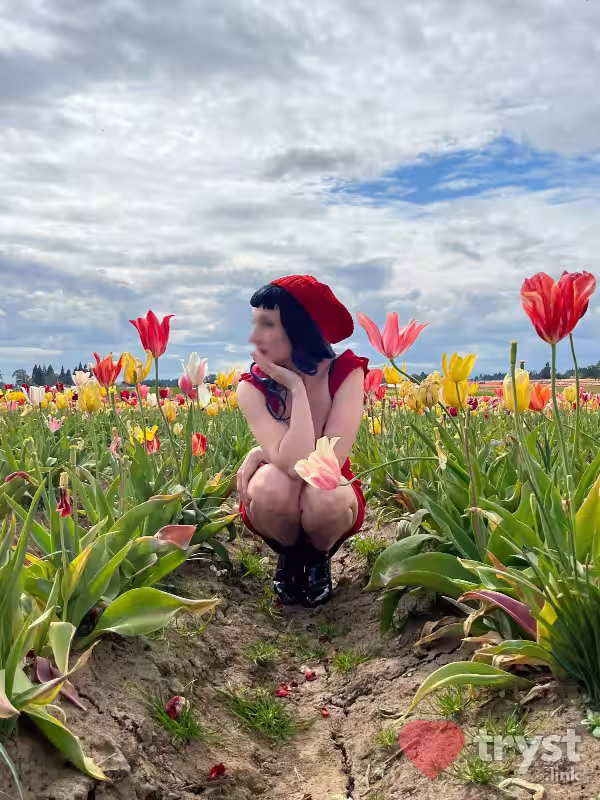 Escort/Massage/S&M Curiosity Rose Thorne in Denver, CO