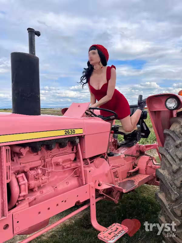 Escort/Massage/S&M Curiosity Rose Thorne in Denver, CO
