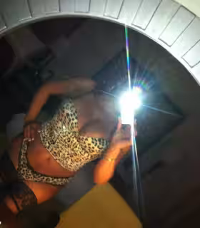 companion/Massage/S&M TS Basha in Houston, TX