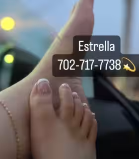 companion Sstar / Estrella in Las Vegas, NV
