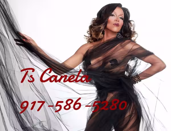 companion/Massage/S&M TS Zuleyma / TS Canela / TS Alba /Brenda/Angela in Long Island, NY