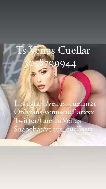 companion/Massage TS Venus Cuellar in Miami, FL