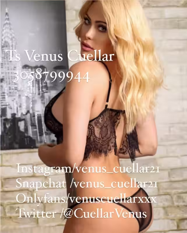 companion/Massage TS Venus Cuellar in Miami, FL
