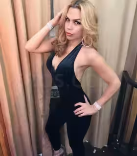 companion/Massage/S&M TS Michelle in Queens, NY