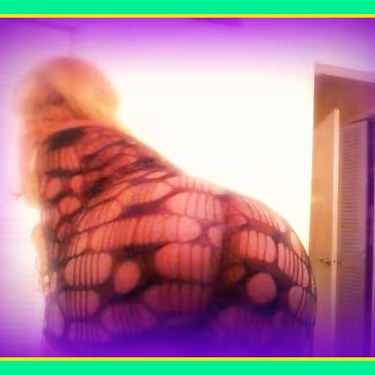 companion/Massage/S&M TS Jada Jackson in Tampa, FL