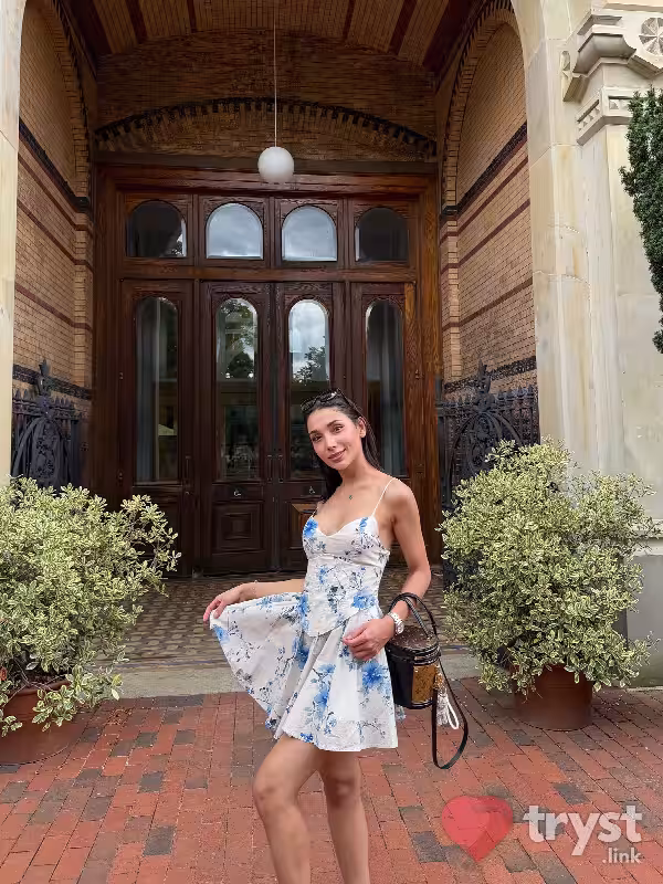 Escort/Massage TS Natasha in Tysons Corner, VA